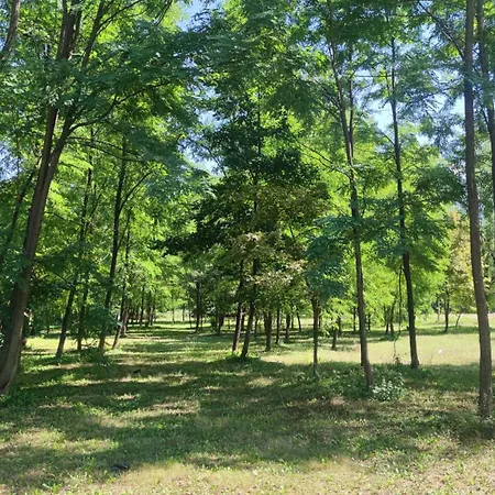 Beverly Hills Pool House Donji Podgradci